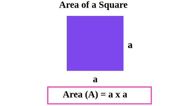  Area of a Square