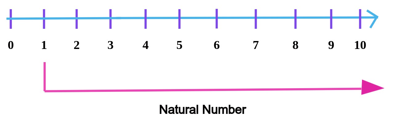 Natural Number