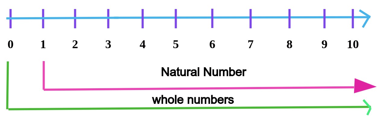  whole numbers